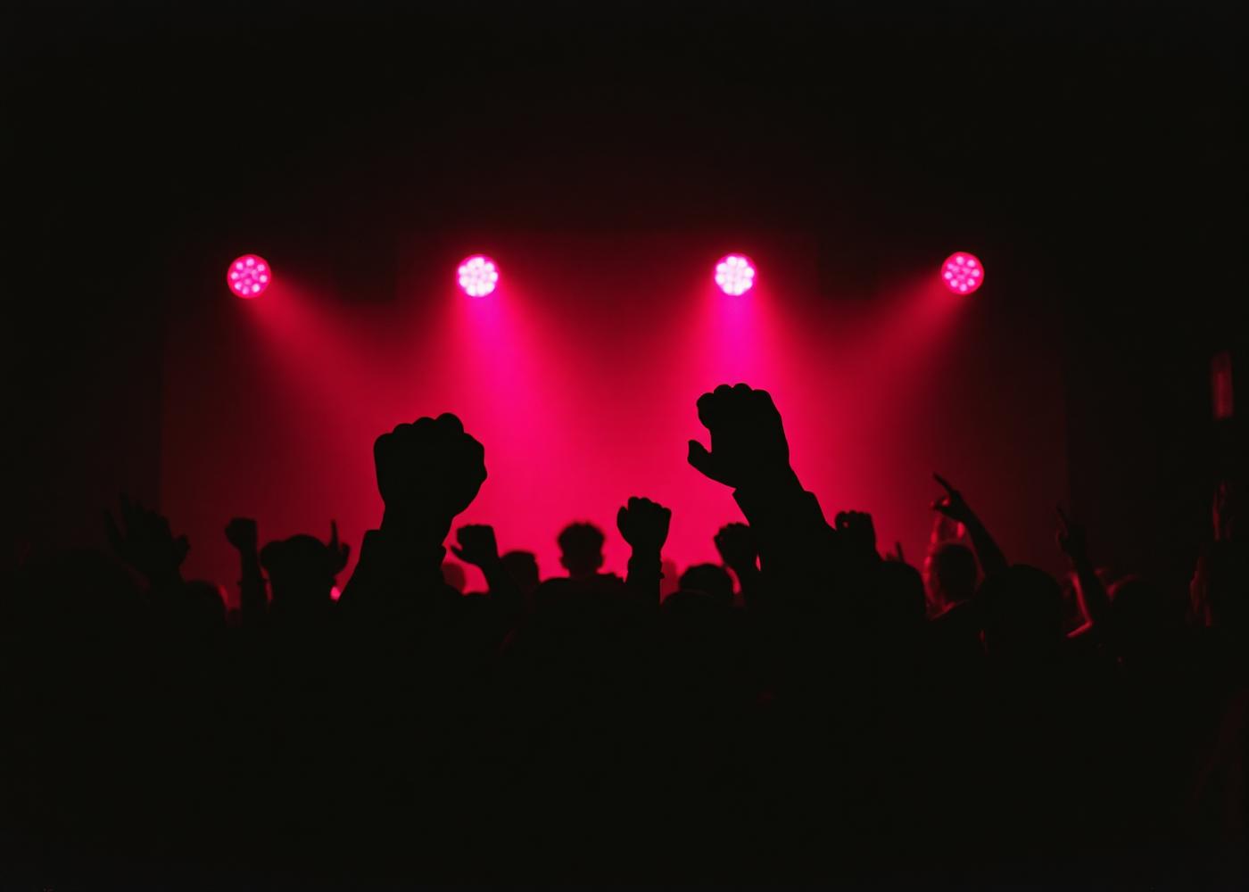 Crowd with raised fists